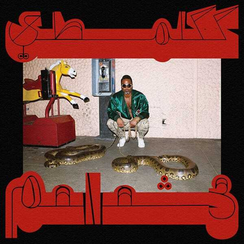 Shabazz Palaces Robed in Rareness CD