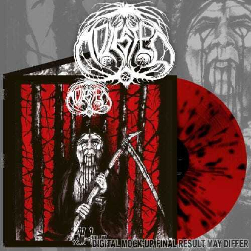 Molested Bloddraum LP/Vinyl
