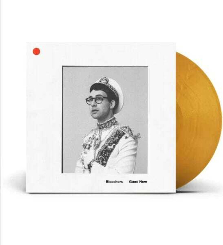 Bleachers Gone Now LP/Vinyl