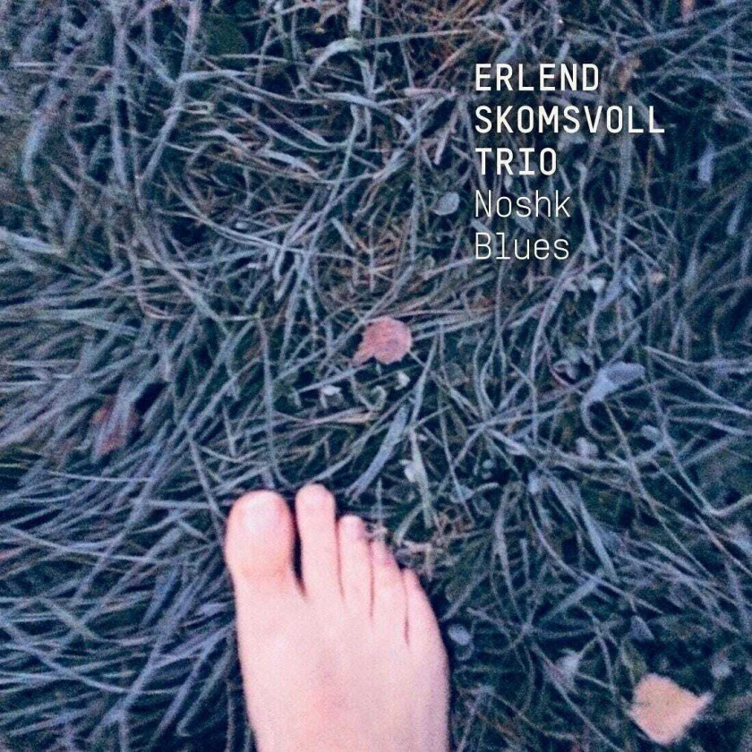 Erlend Skomsvoll, Erlend Skomsvoll Trio Noshk Blues LP/Vinyl