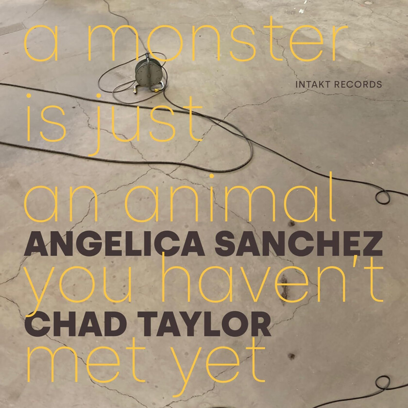 Angelica Sanchez, Chad taylor A Monster is Just an Animal You haven't Met Yet CD
