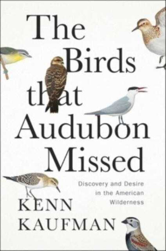 The Birds That Audubon Missed Discovery and Desire in the American Wilderness