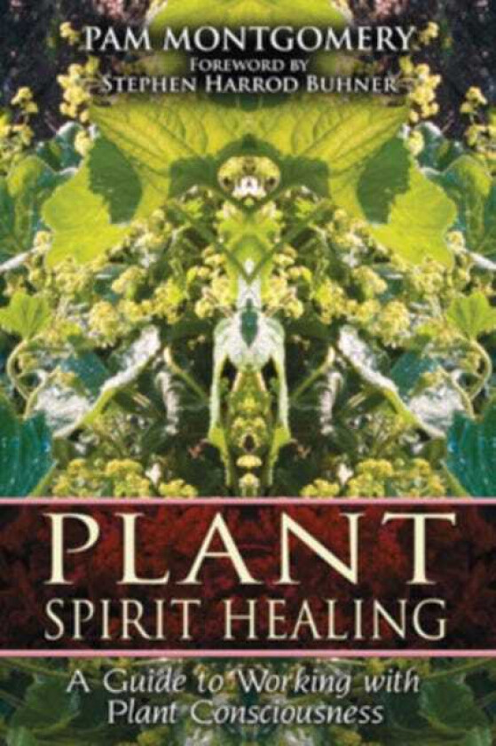 Plant Spirit Healing A Guide to Working with Plant Consciousness