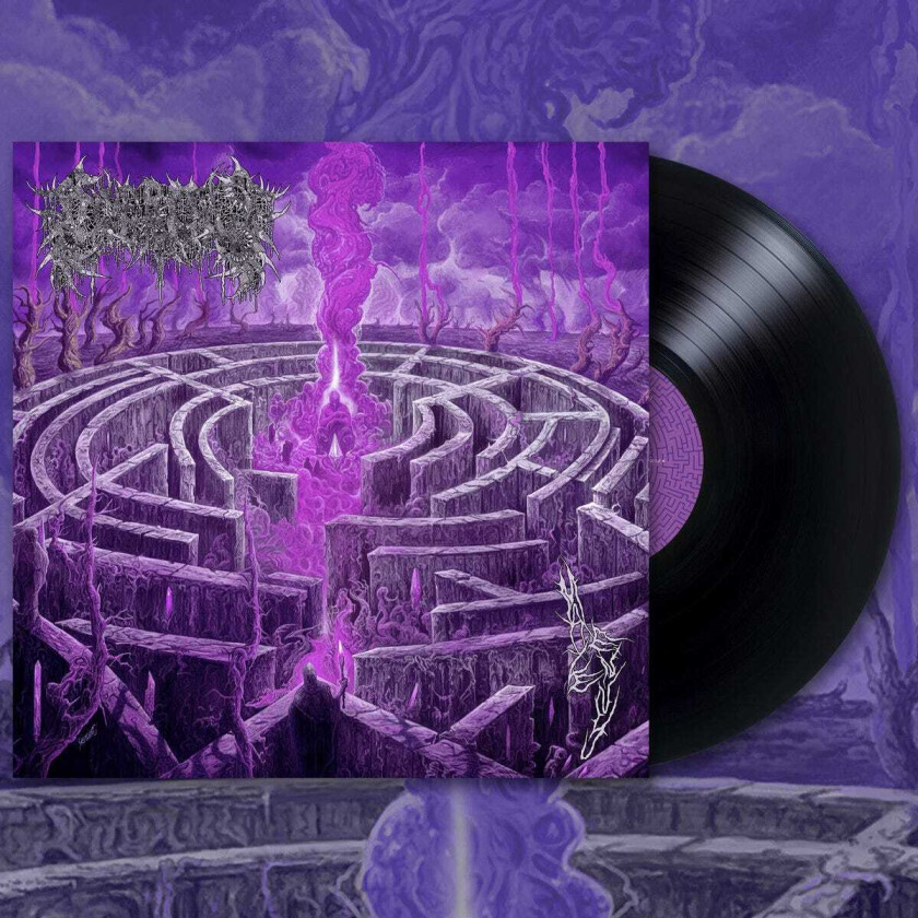 Civerous Maze Envy LP/Vinyl
