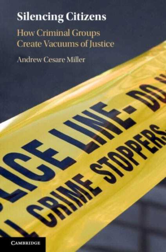 Silencing Citizens How Criminal Groups Create Vacuums of Justice