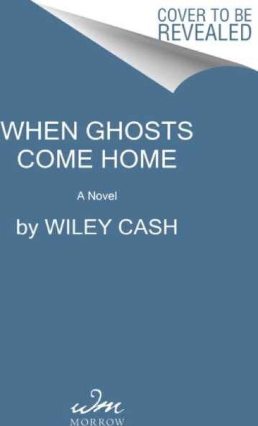 When Ghosts Come Home A Novel