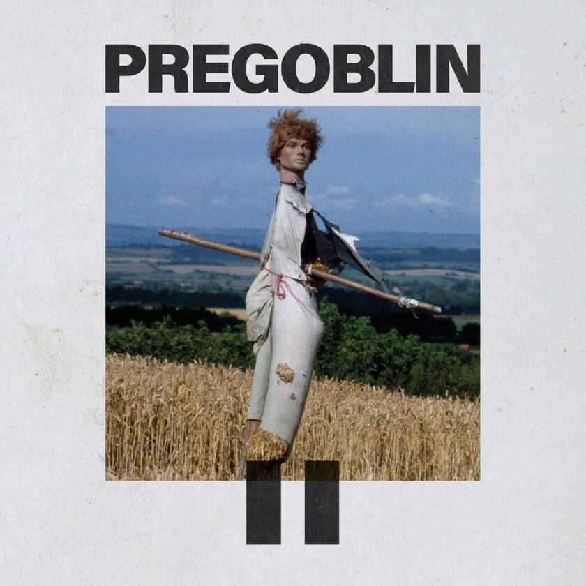 Pregoblin Pregoblin II LP/Vinyl