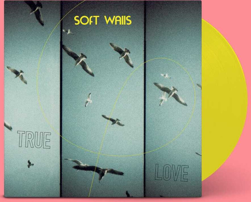 Soft Walls True Love LP/Vinyl