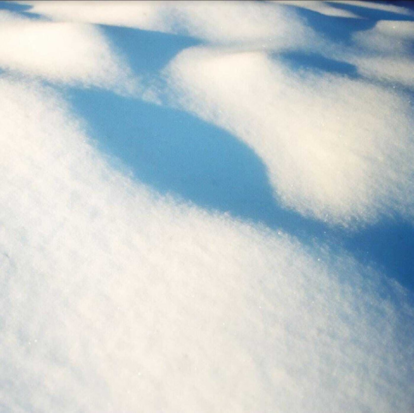 Flore Laurentienne 8 tableaux LP/Vinyl