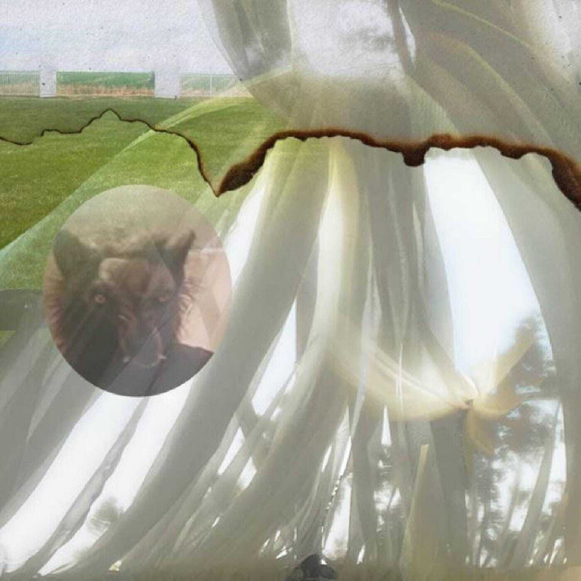 Credit Electric six CD