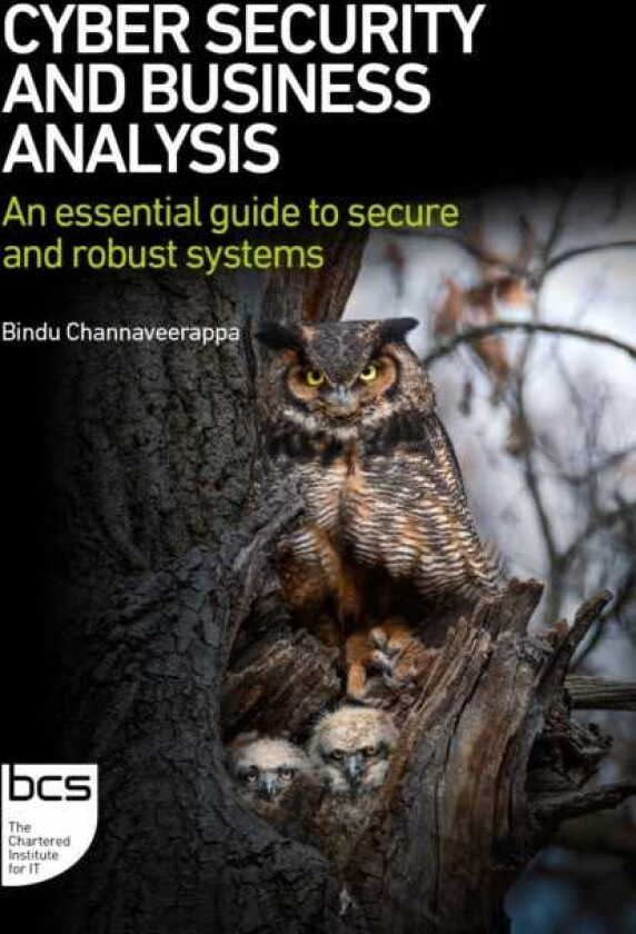 Cyber Security and Business Analysis An essential guide to secure and robust systems