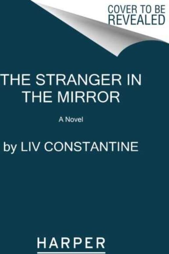 The Stranger in the Mirror A Novel