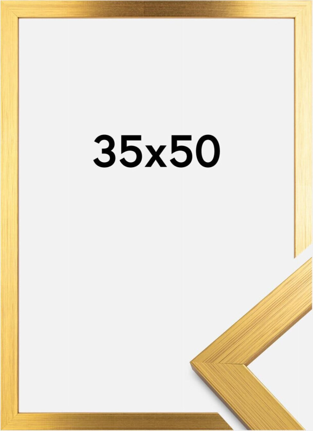 Ramme Gold Wood 35x50 Cm