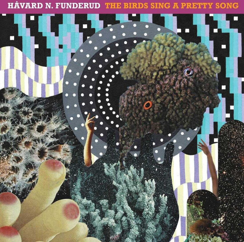 Håvard Nordberg Funderud The Birds Sing a Pretty Song LP/Vinyl