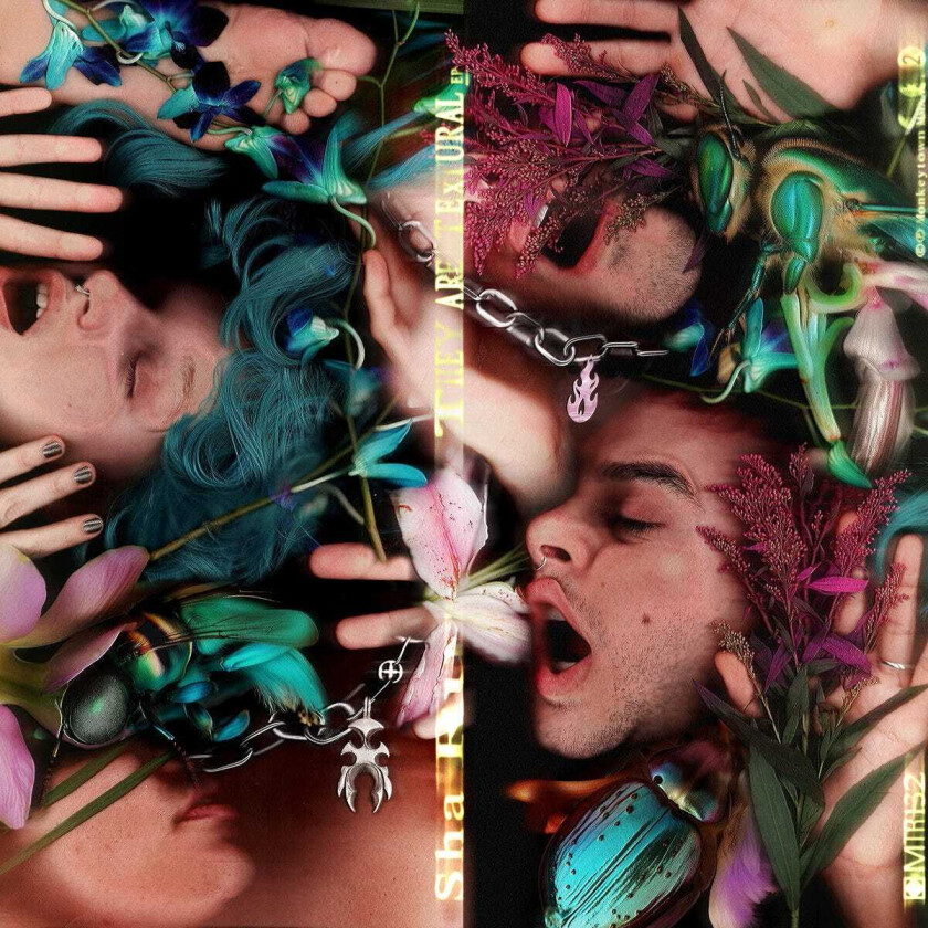 Sha Ru They Are Textural LP/Vinyl