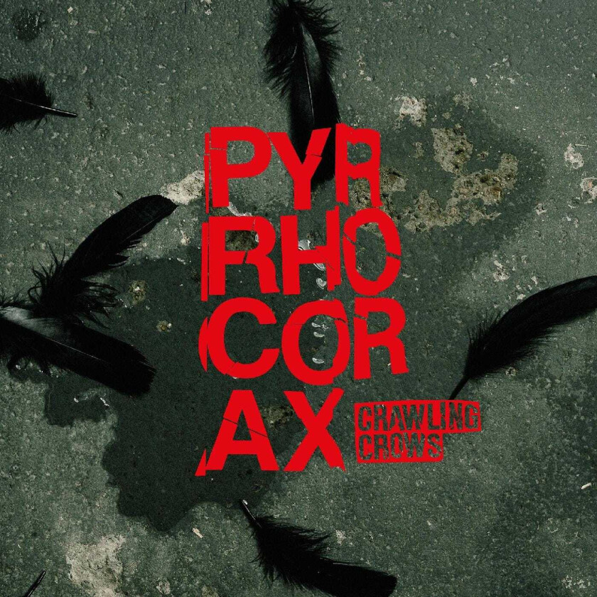 Crawling Crows Pyrrhocorax CD