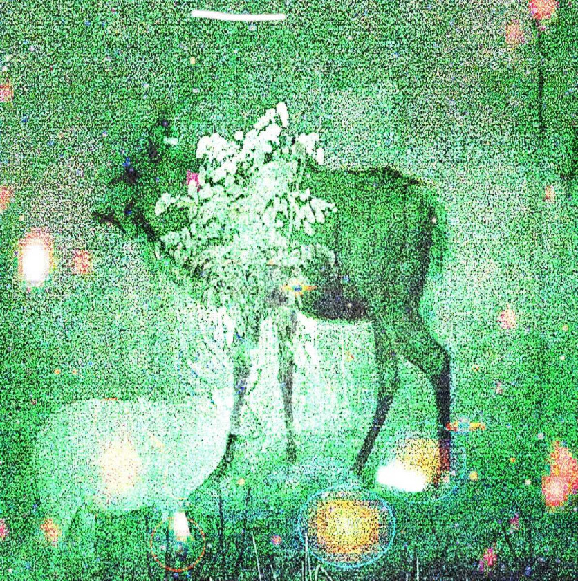 Ghost Lemurs Wombs And Alien Spirits LP/Vinyl