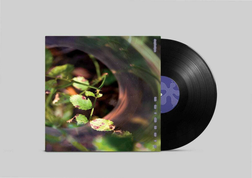 Jonny From Space Back Then I Didn’t But Now I Do LP/Vinyl