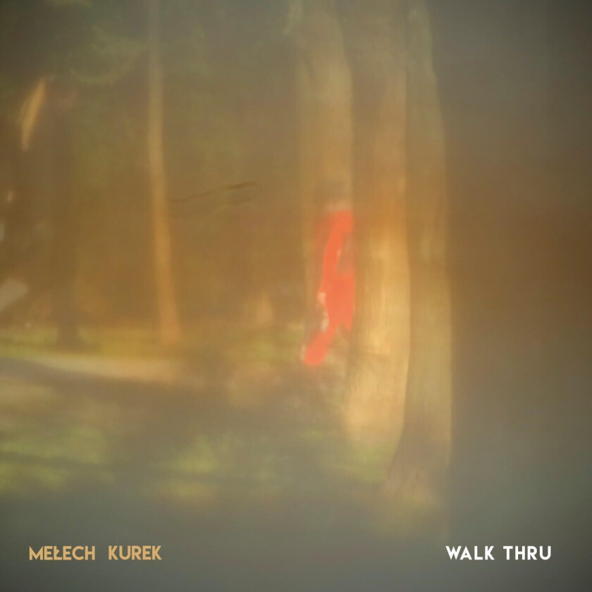 Piotr Melech, Wojtek Kurek Walk Thru CD