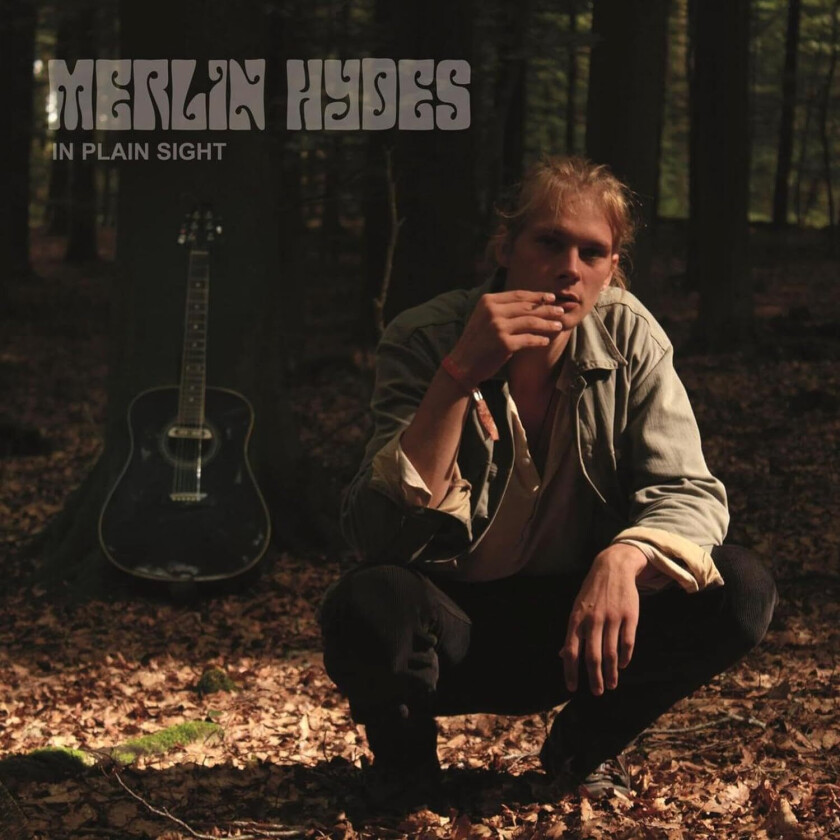 Merlin Hydes In Plain Sight LP/Vinyl