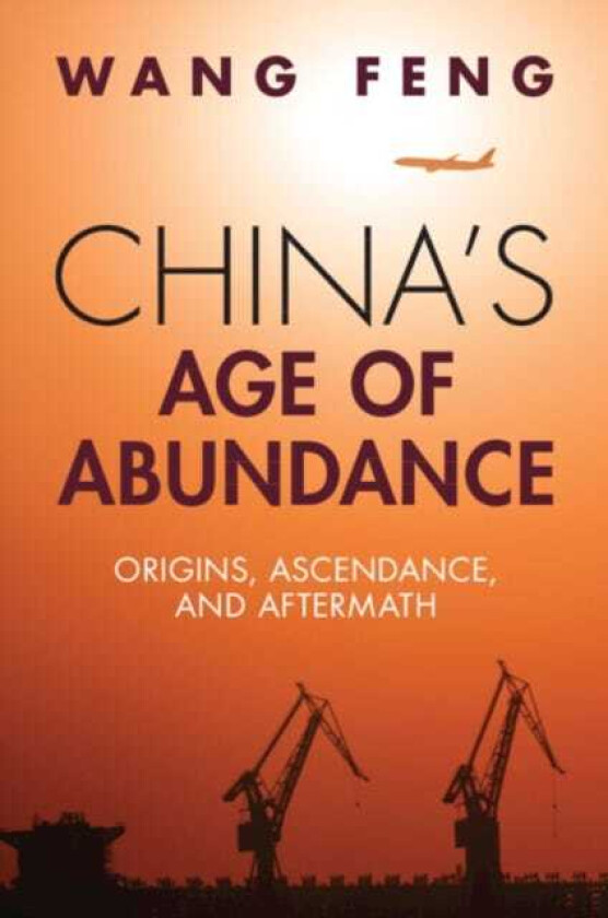 China's Age of Abundance  Origins, Ascendance, and Aftermath