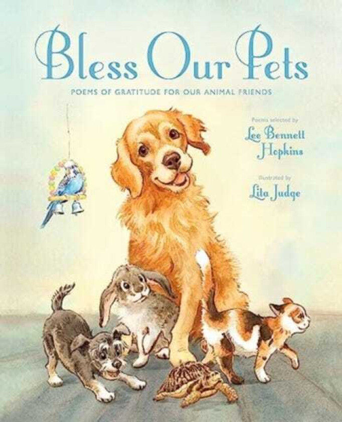 Bless Our Pets Poems of Gratitude for Our Animal Friends