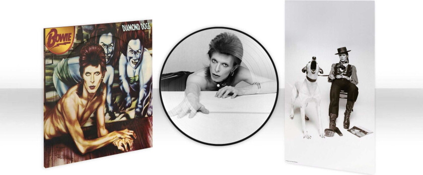 David Bowie Diamond Dogs LP/Vinyl
