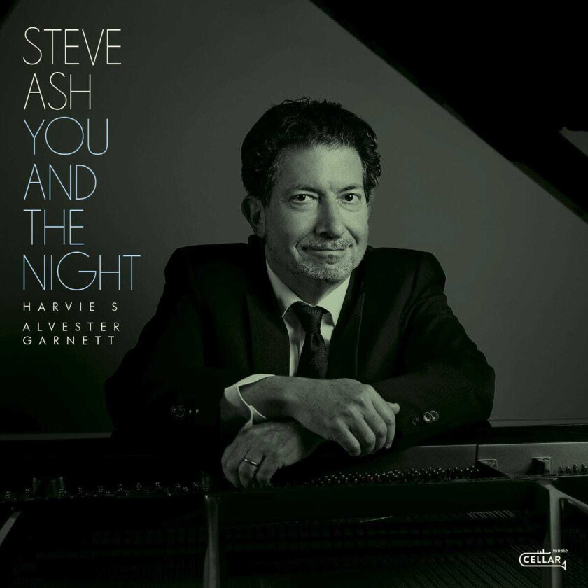 Steve Ash You And The Night CD