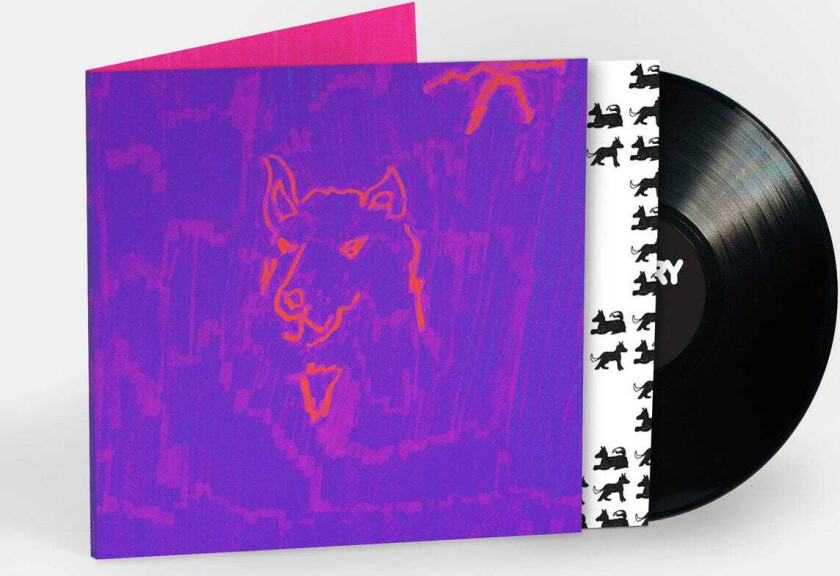 Dehd Poetry LP/Vinyl