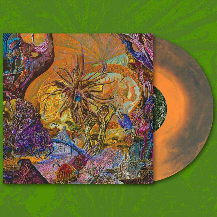 Slimelord Chytridiomycosis Relinquished LP/Vinyl