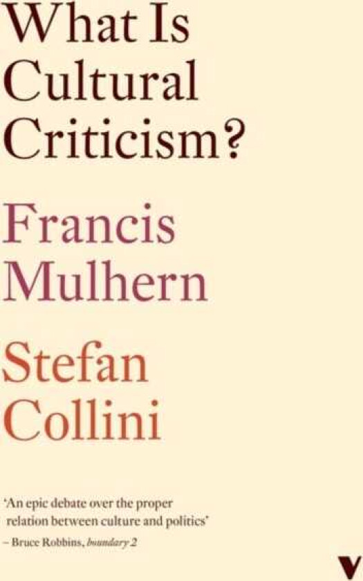 What Is Cultural Criticism?