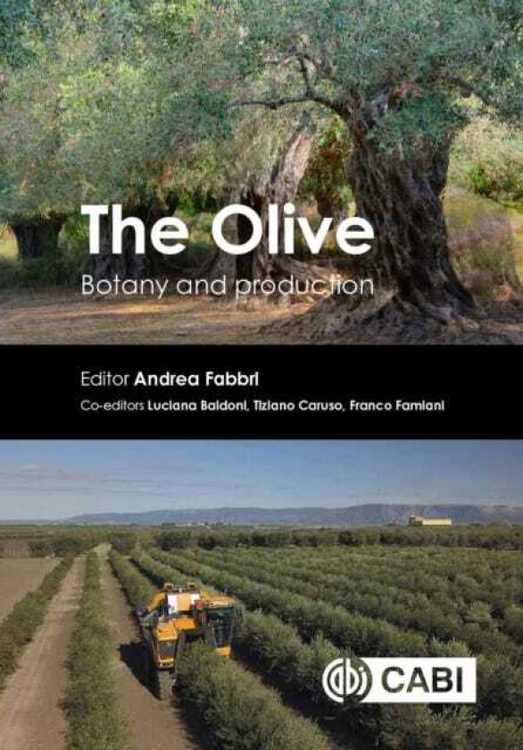 The Olive Botany and Production