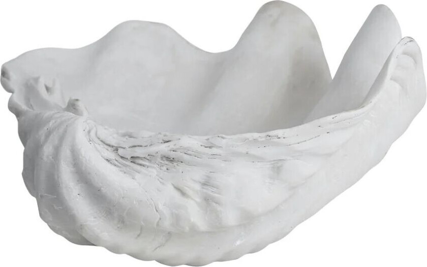 Shell dekorasjon Small