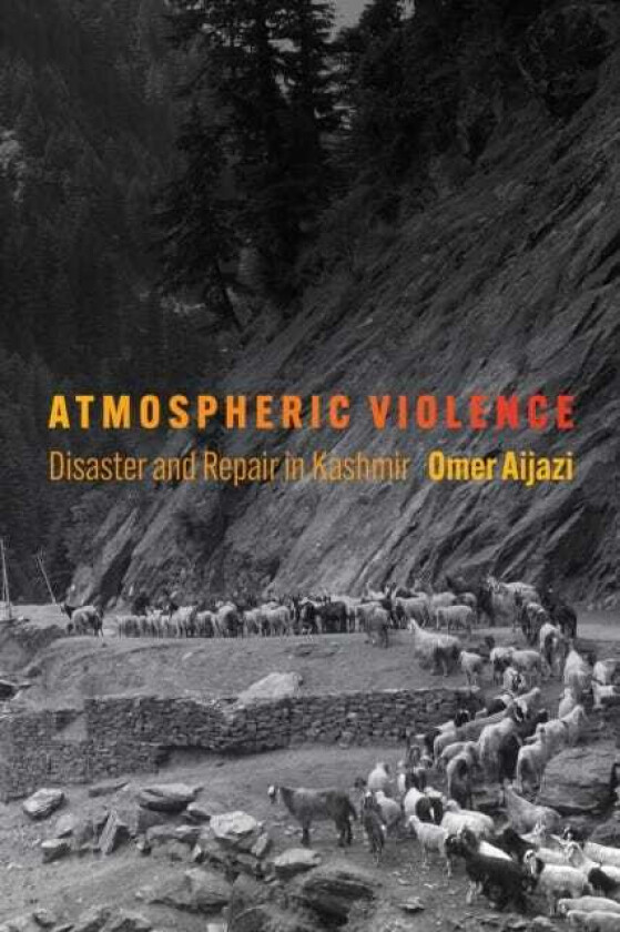 Atmospheric Violence Disaster and Repair in Kashmir