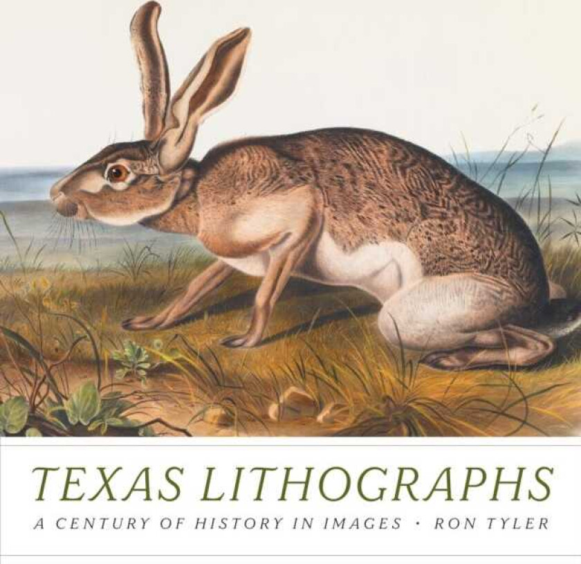 Texas Lithographs  A Century of History in Images