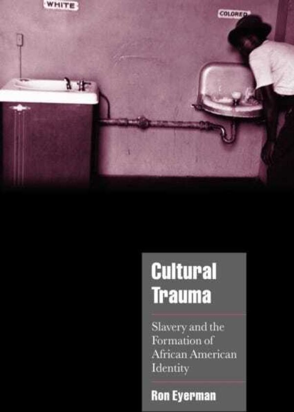 Cultural Trauma Slavery and the Formation of African American Identity
