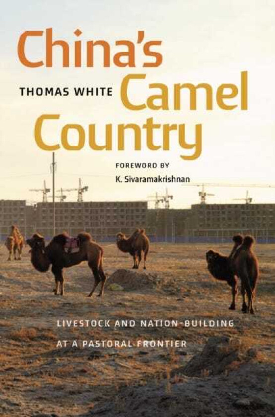 China's Camel Country Livestock and NationBuilding at a Pastoral Frontier