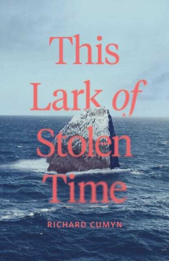 The Lark of Stolen Time A Novel