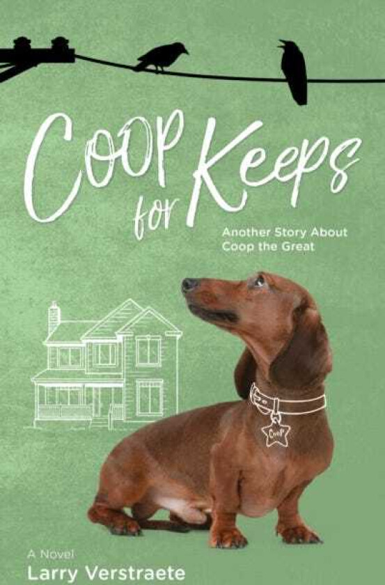 Coop For Keeps Another Story About Coop The Great