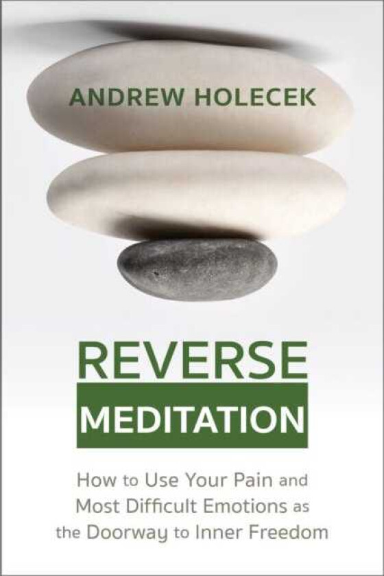 Reverse Meditation How to Use Your Pain and Most Difficult Emotions as the Doorway to Inner Freedom