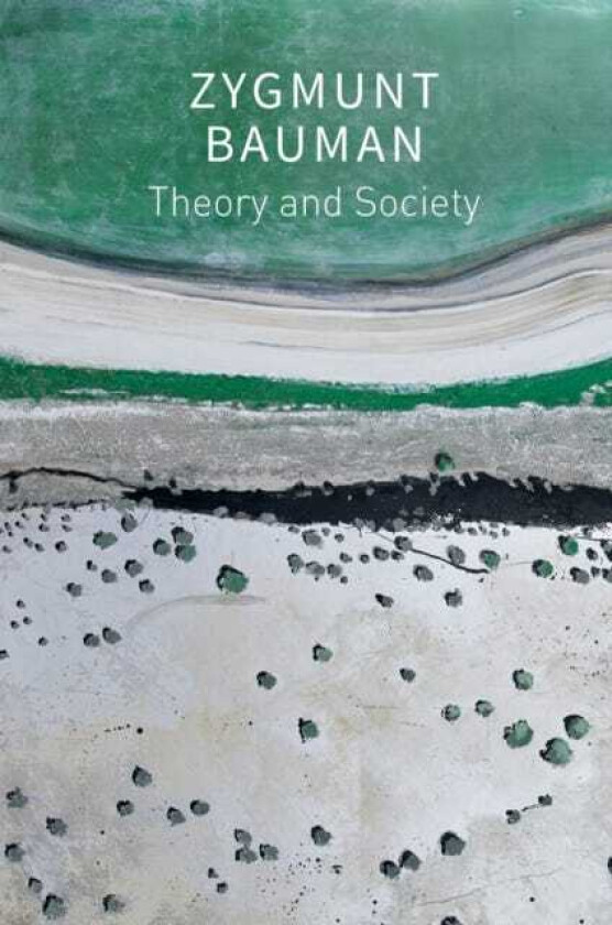 Theory and Society Selected Writings, Volume 3