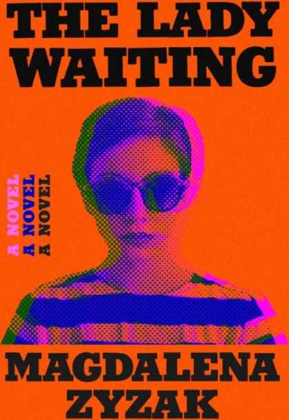 The Lady Waiting A Novel