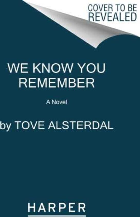 We Know You Remember A Novel