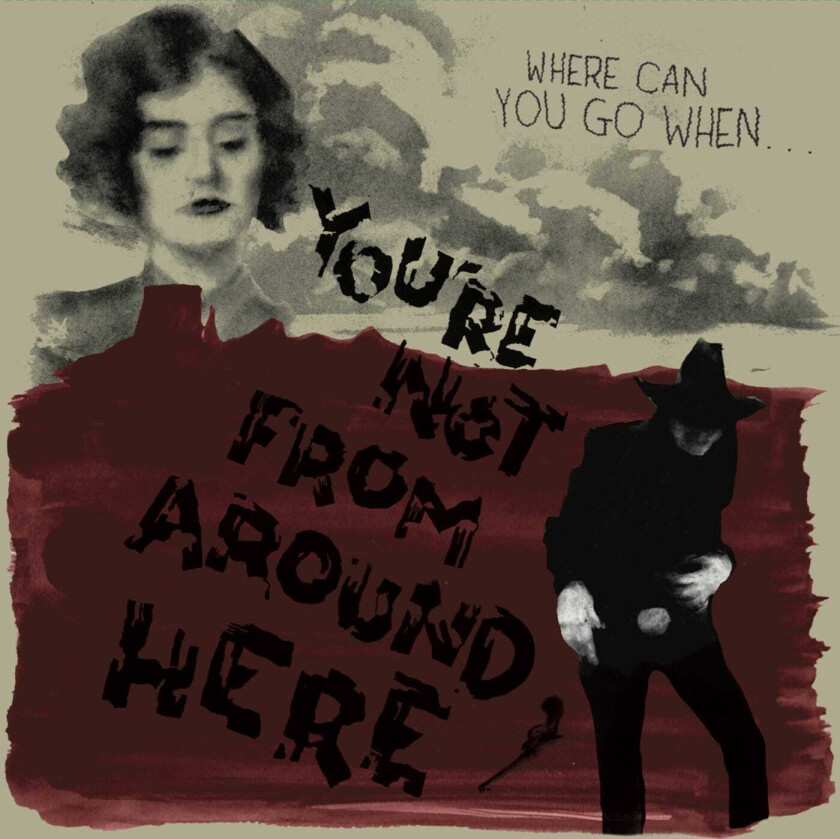 Diverse Artister You're Not from Around Here LP/Vinyl