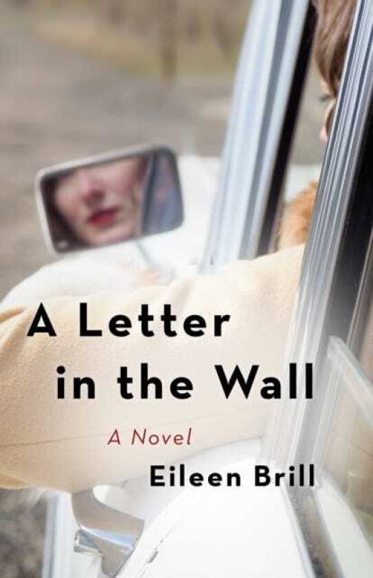 A Letter in the Wall A Novel