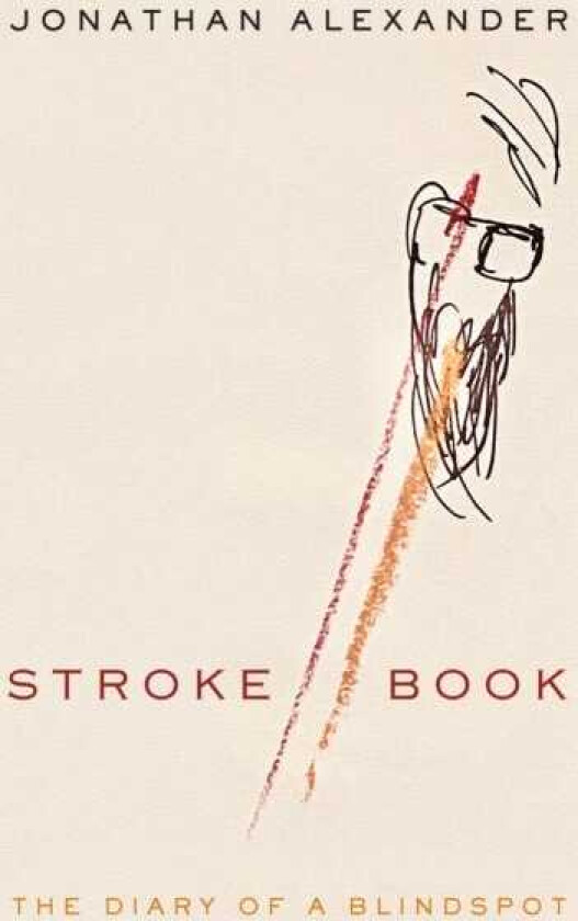 Stroke Book The Diary of a Blindspot