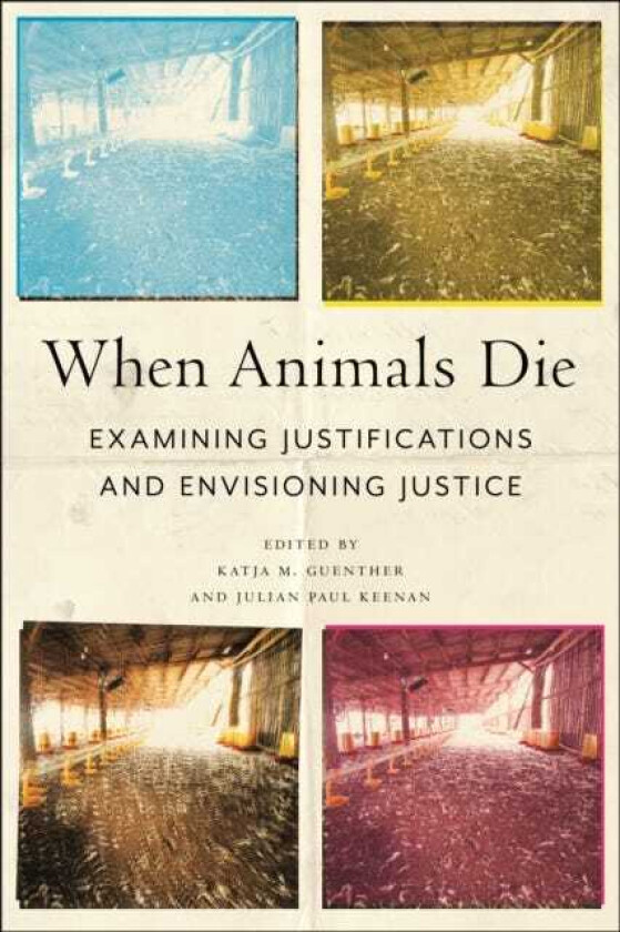 When Animals Die Examining Justifications and Envisioning Justice