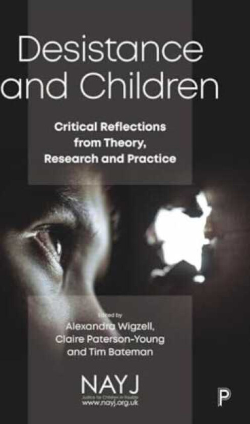 Desistance and Children Critical Reflections from Theory, Research and Practice