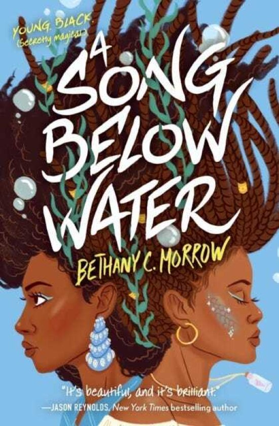 A Song Below Water A Novel