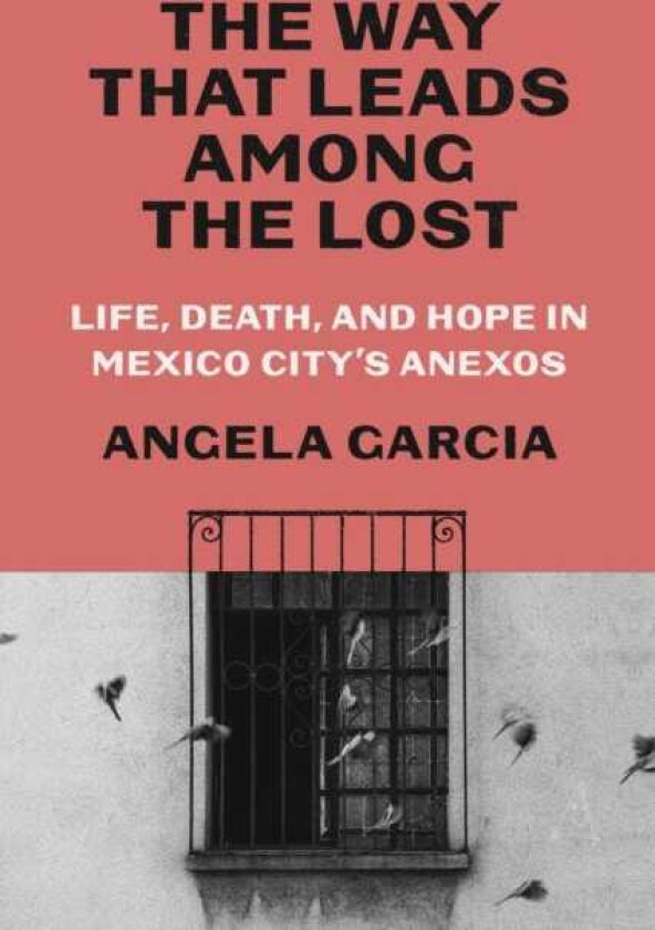 The Way That Leads Among the Lost Life, Death, and Hope in Mexico City's Anexos